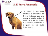 /album/ejercicios/diapositiva16-jpg/